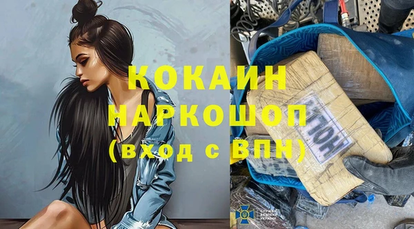 прущие грибы Михайловск