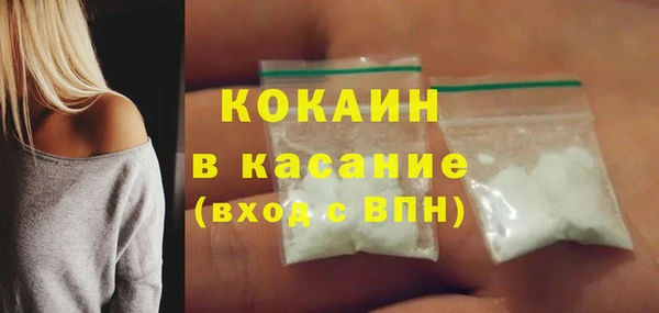 прущие грибы Михайловск