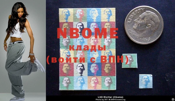 прущие грибы Михайловск