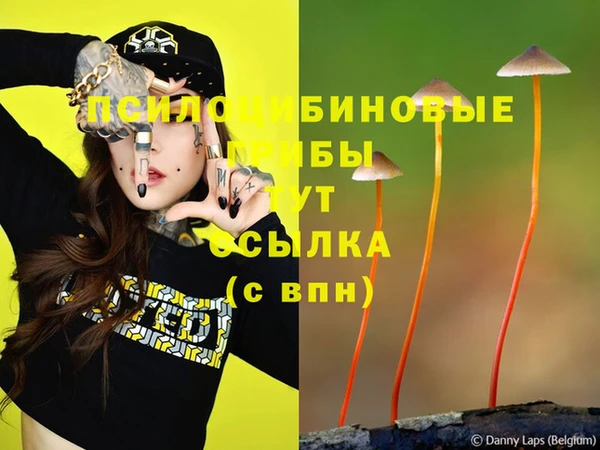 apvp Михайловка