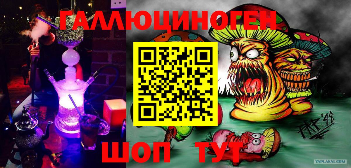 Псилоцибиновые грибы GOLDEN TEACHER  Новочебоксарск 