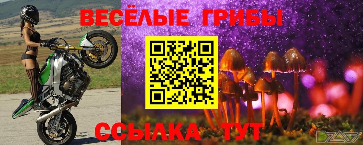 ЭКСТАЗИ  Новочебоксарск  Вход с VPN  Конопля  Купить наркотик  МЕФ   Гашиш  ГАШИШ  Cocaine 
