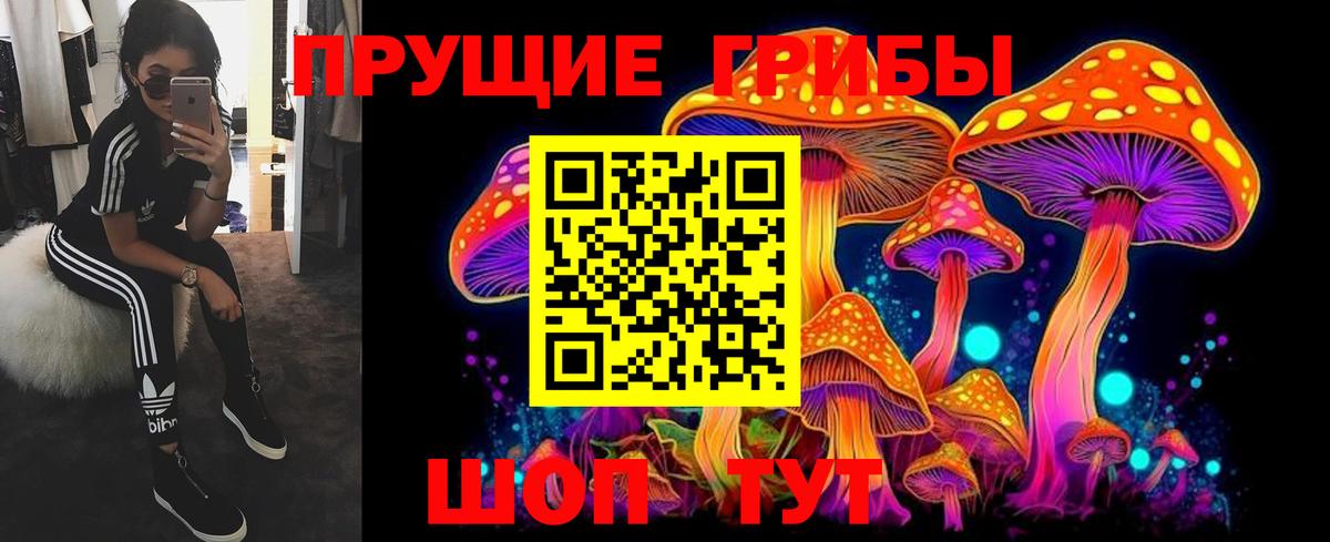Новочебоксарск  Галлюциногенные грибы мухоморы  Вход с VPN  Псилоцибиновые грибы Cubensis 