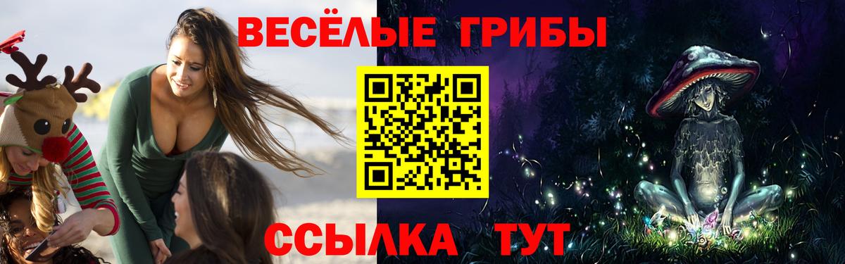 Псилоцибиновые грибы мухоморы Новочебоксарск